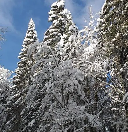 شقة Le Jardinier *