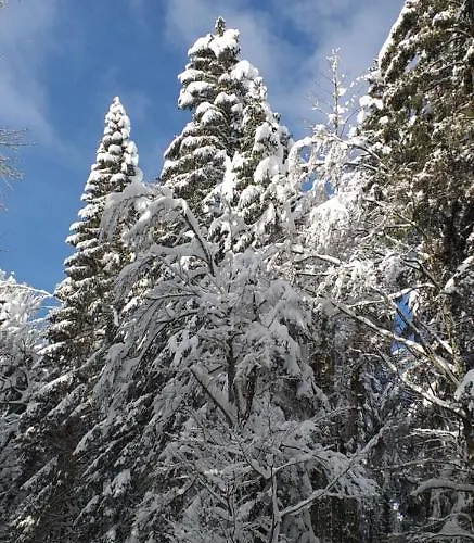 Appartement Le Jardinier *